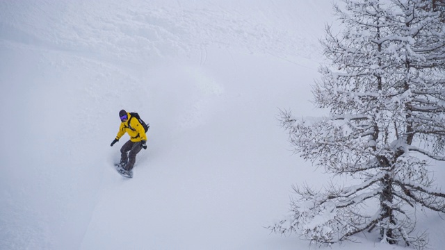 越野滑雪板粉转弯视频素材