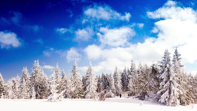 冬季景观与高云杉和雪山视频素材