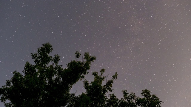 星星在夜空中旋转在树的剪影的背景上。时间流逝视频素材