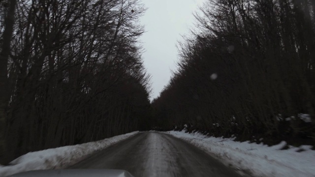 乌斯怀亚附近火地岛省土路上的汽车内景。视频素材