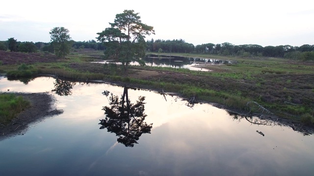 鸟瞰绿色湿地视频素材