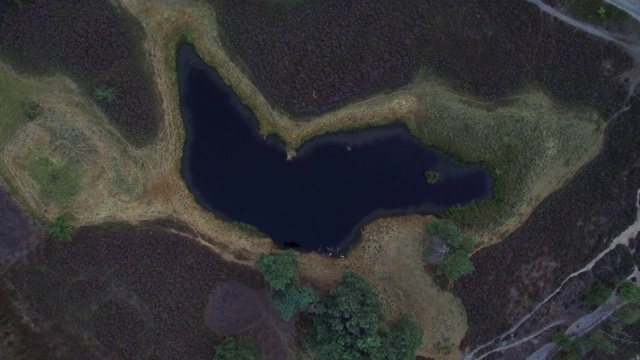 鸟瞰绿色湿地视频素材