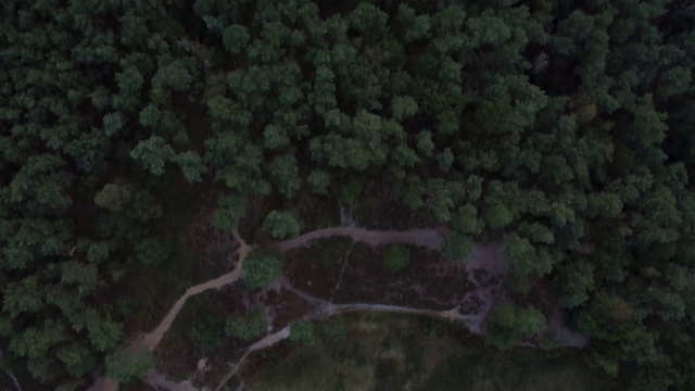 鸟瞰绿色湿地视频素材