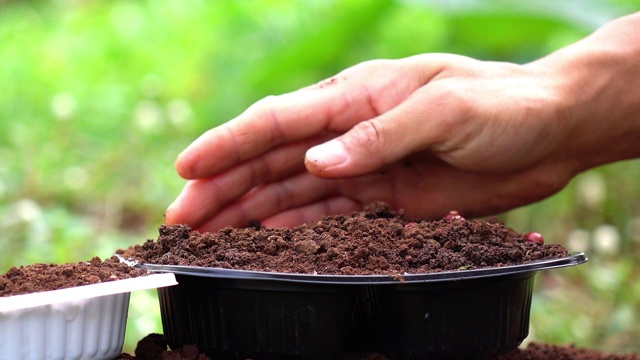 用可重复使用的塑料播种蔬菜。在家里的小农场工作。节约地球。视频素材