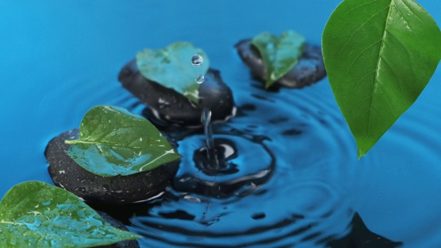 缓慢的运动。水滴落在黑色的石头和绿色的叶子在蓝色的水。水疗中心的背景。视频素材