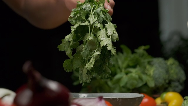 专业厨师洗芫荽叶。慢动作视频素材