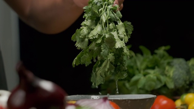 专业厨师洗芫荽叶。慢动作视频素材