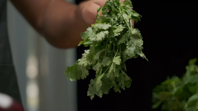 专业厨师洗芫荽叶。慢动作视频素材