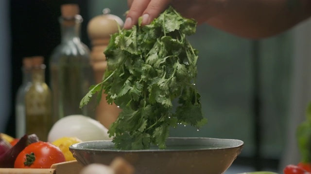 专业厨师洗芫荽叶。慢动作视频素材