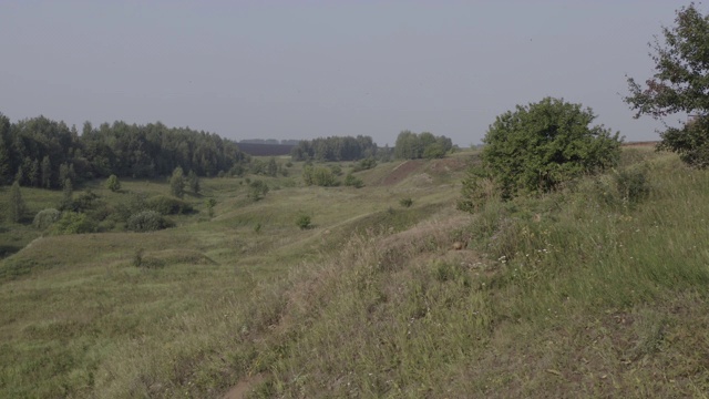 Bobak旱獭(Marmota Bobak)，也被称为草原旱獭视频素材