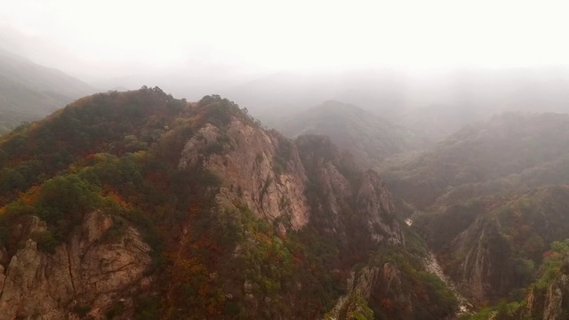 雪山秋叶/江原道，韩国视频素材