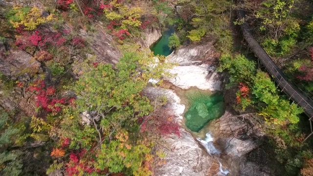 韩国江原道，天布洞山谷/雪瀑山的秋景视频素材