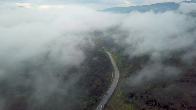 无人机在一个非常阴天拍摄的雨林道路鸟瞰图视频素材