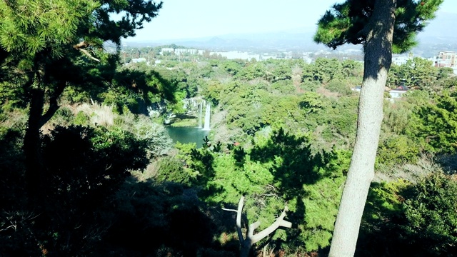 韩国济州岛天智渊瀑布/西浦浦城视频素材