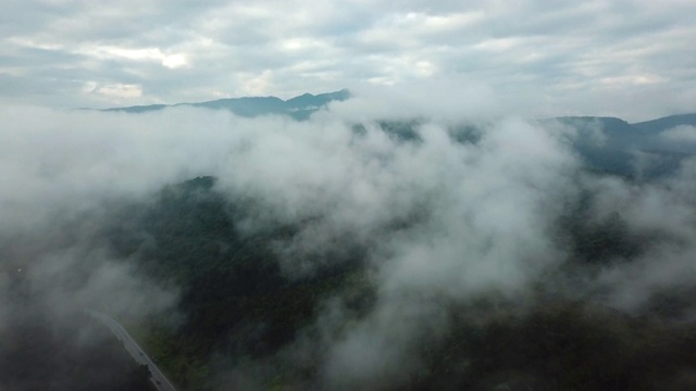 鸟瞰图公路与树木视频素材