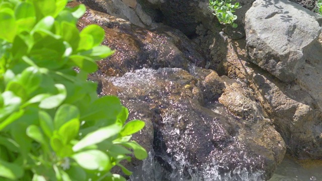 水从岩石中缓缓流出，速度为180fps视频素材