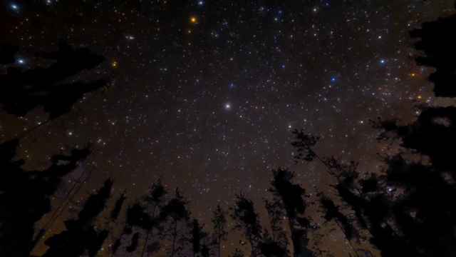 星空围绕北极星旋转，松树林为背景，夜景延时视频素材