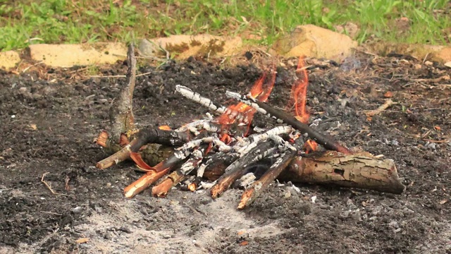 在夏天，游客篝火燃烧木材视频素材