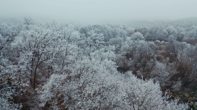 白雪覆盖的树梢。美丽的冬季森林景观。森林中的河流。树木被白雪覆盖。鸟瞰图。视频素材