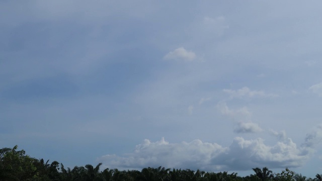 戏剧性的蓬松的白云移动在异国情调的棕榈树雨林视频素材