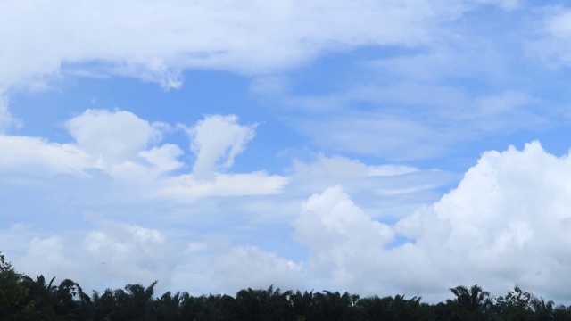 戏剧性的蓬松的白云移动在异国情调的棕榈树雨林视频素材