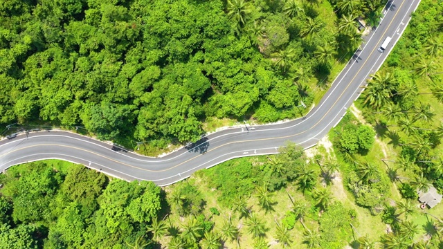 4K无人机拍摄泰国那空西法马拉坎农雨林中的道路和椰子树视频素材