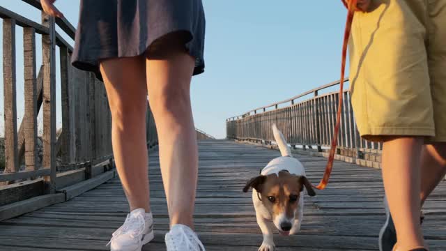 女人和男孩与杰克罗素梗犬沿着木桥在一个古老的要塞在高山高原日落慢动作。大自然。家庭度假。生活方式视频素材