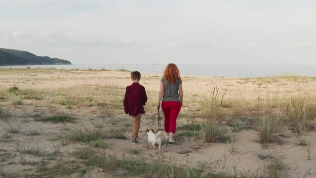 女人，男孩，狗品种杰克罗素梗在沙地海岸线上稀疏的植被风景鸟瞰无人机滑梯供家人散步。海上的孕妇。夏天。旅游业。旅行。的生活方式。宠物视频素材