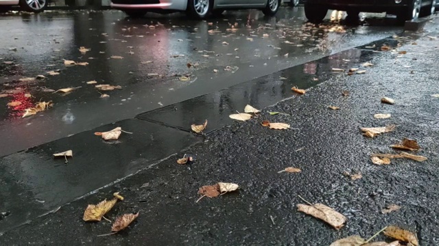 秋雨在城中。雨滴落进了汽车车轮附近流动的水里视频素材