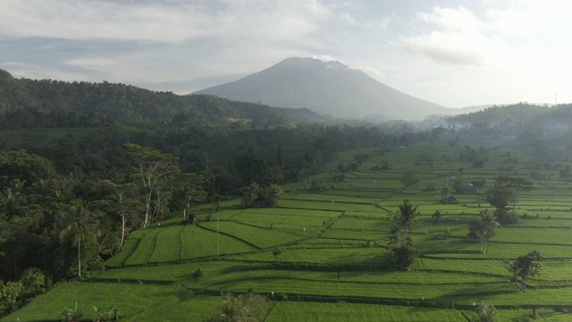 在印尼巴厘岛山谷的绿色稻田俯视图。风景如画的热带风景在乡村附近的火山。视频素材