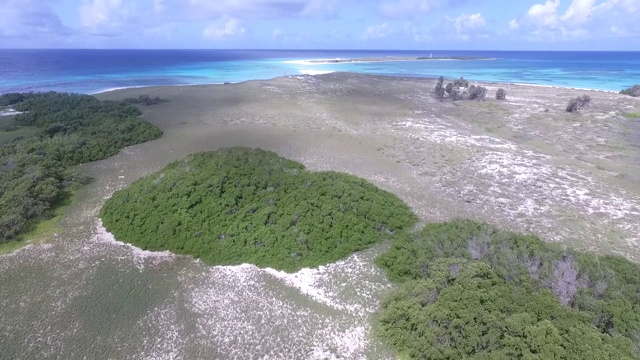 加勒比海卡约德阿瓜岛的顶视图。空中全景。鸟瞰图。视频素材