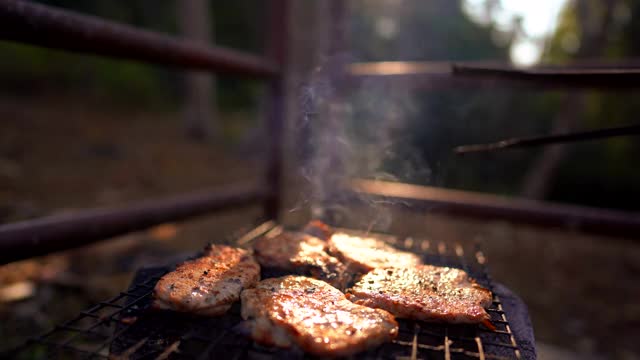 在森林里露营时用热炉烤肉视频素材