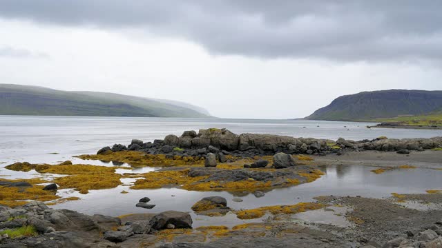 夏季的峡湾景观，Vestfjardarvegur，西峡湾，冰岛视频素材