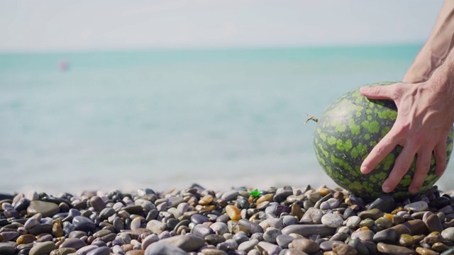 切开的西瓜放在海边。海里的西瓜。成熟的西瓜躺在海边。视频素材