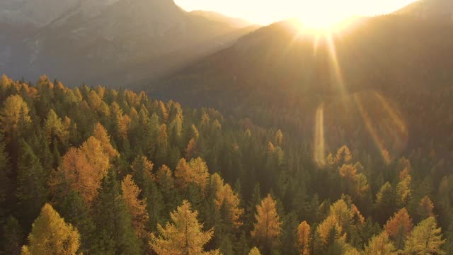 天空:傍晚金色的阳光照射在Dolomites山脉覆盖的森林上。视频素材