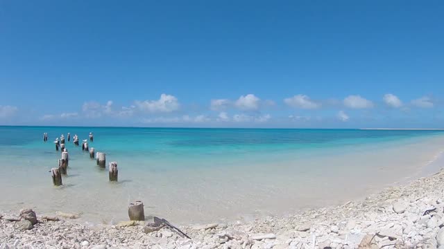 老钓鱼码头与海鸥在白色加勒比海滩-视频素材