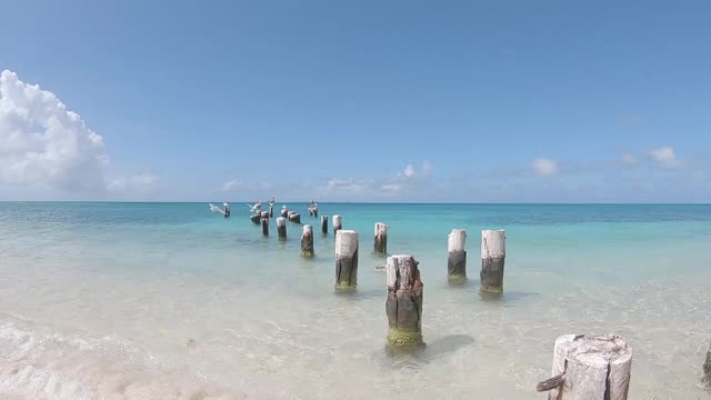 在一个阳光明媚的夏日，海浪覆盖着沙滩。视频素材