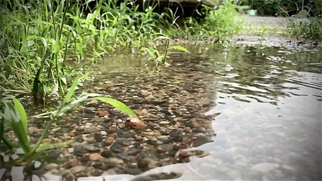 水滴视频下载