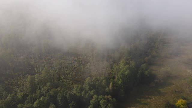 浓雾中的小村庄鸟瞰图。透过云层俯瞰小的避暑别墅和花园。无人驾驶直升机的观点。视频素材