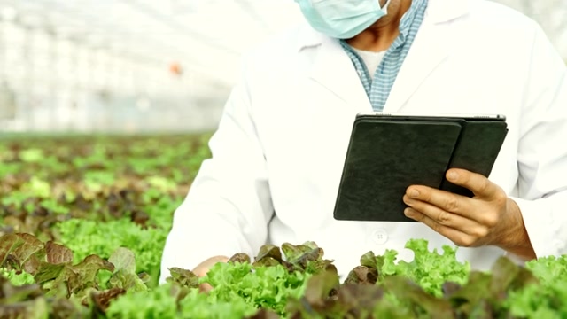 SLO MO生物学家在温室做质量控制视频素材画面2