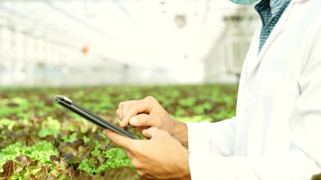 SLO MO生物学家在温室做质量控制视频素材画面3