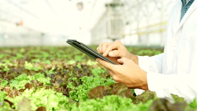 SLO MO生物学家在温室做质量控制视频素材画面4