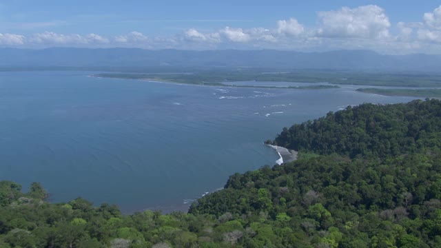 鸟瞰图的热带森林在哥斯达黎加与Terraba Sierpe国家湿地的远景。视频素材