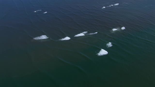 空中向上倾斜的视图显示瓜鲁尔岛海岸线与特拉巴Sierpe国家湿地地区在哥斯达黎加。视频素材