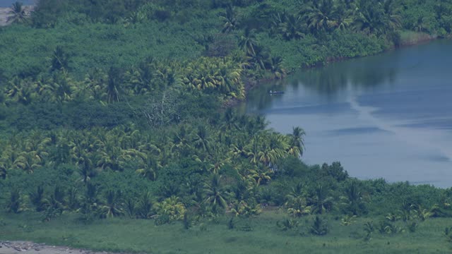 鸟瞰图的热带森林在Terraba Sierpe国家湿地海岸在哥斯达黎加。视频素材