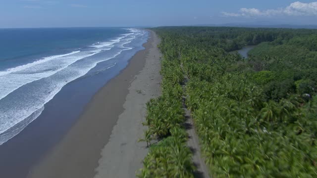 帕洛塞科海滩鸟瞰图与海岸森林和河口奎波斯，哥斯达黎加。视频素材