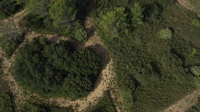 法国南部的La garrigue景观，由无人机拍摄视频素材