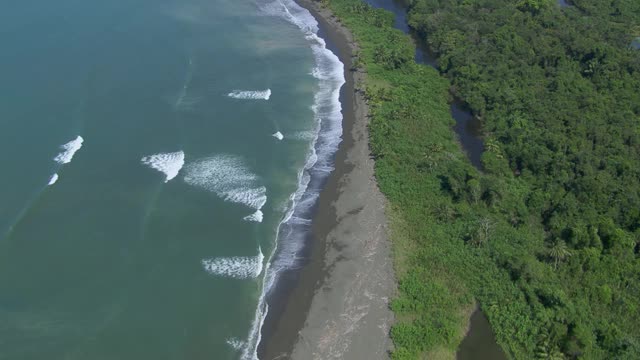 鸟瞰图的热带森林和泻湖的海滩，科尔科瓦多国家森林，哥斯达黎加。视频素材