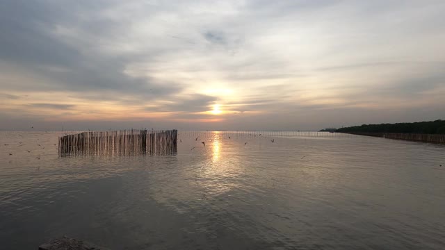 海鸥在夕阳的映衬下美丽地飞翔。泰国邦浦美丽的自然景观，4K视频素材