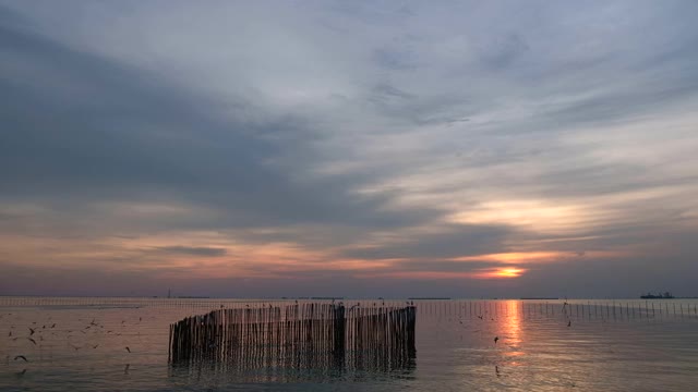 海鸥在夕阳的映衬下美丽地飞翔。泰国邦浦美丽的自然景观，4K视频素材